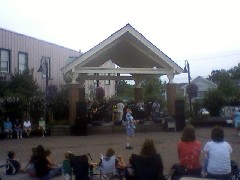 Gator Face band at downtown Canandaigua park